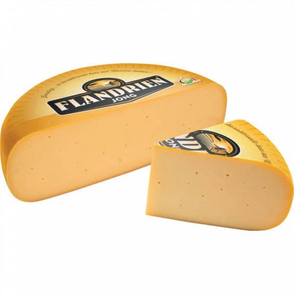 Flandrien Jong